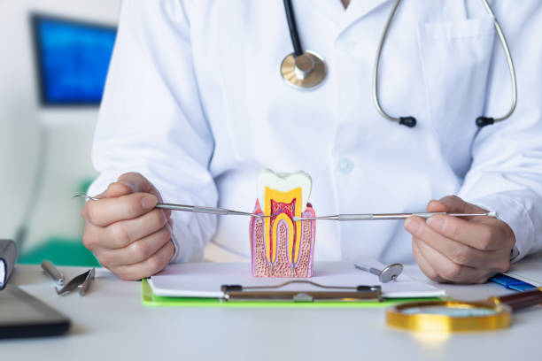 Best Emergency Dentist for Lost Fillings or Crowns in Livingston, TN